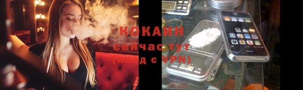 соль ск Снежногорск