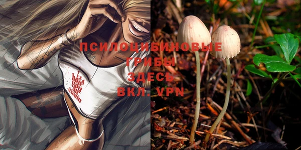 винт Снежинск
