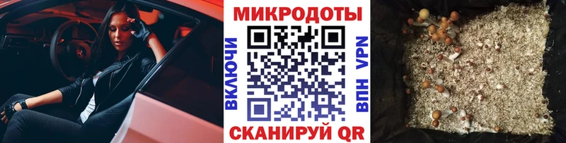 Купить  Саров  Псилоцибиновые грибы ЛСД 